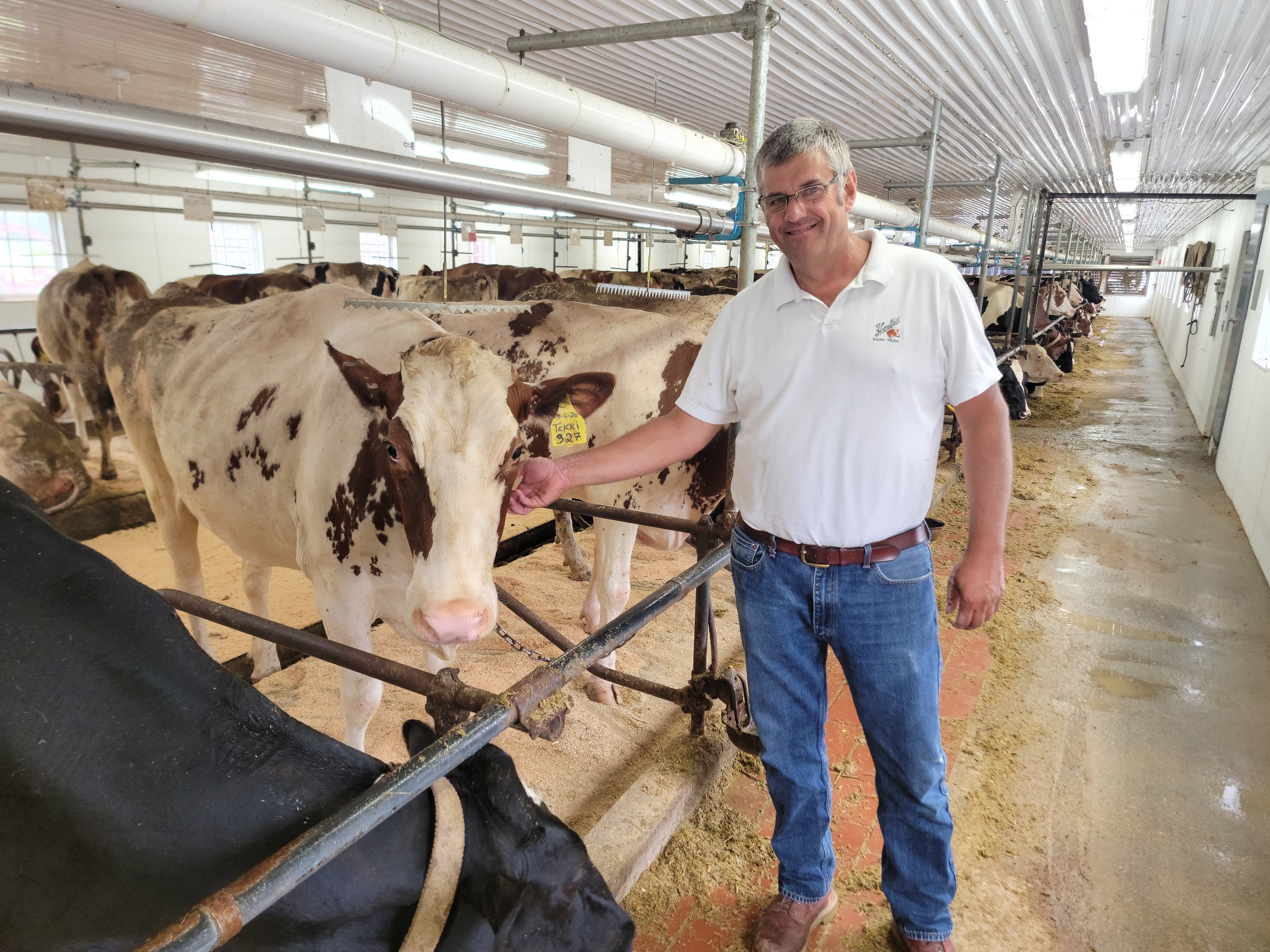 Hornstra looks to revive dairy past at Peaceful Meadows ABINGTON NEWS